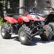 Запчастини для квадроциклів Skymoto BARS-125, QM125ATV-2